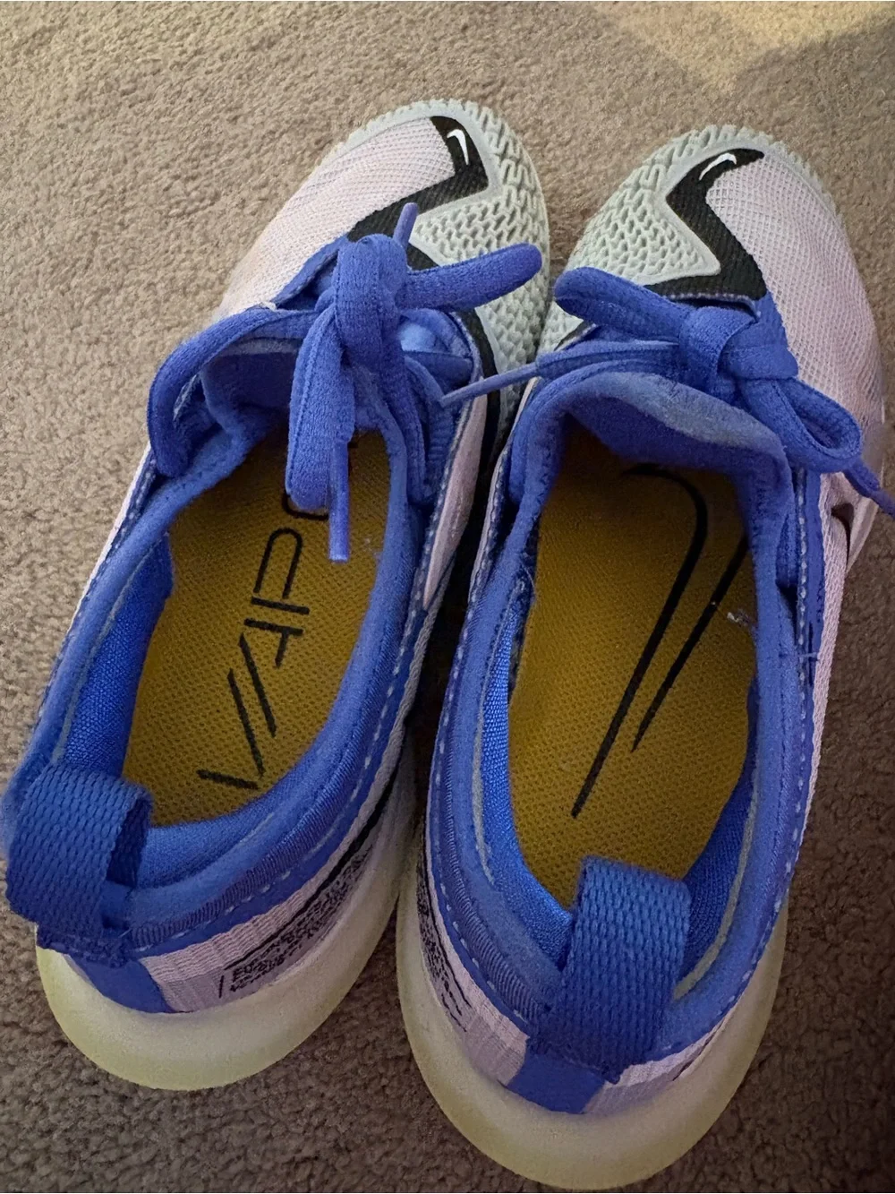Nike Blue, Purple, Mint, and Black Athletic Sneakers
